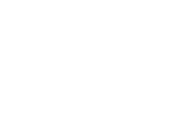 Fox News Logo